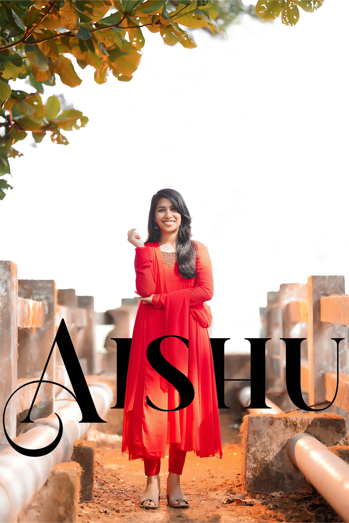 PhotoShowcase image 3